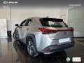 Lexus UX 250h Premium 2WD Zilver - thumbnail 14