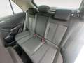 Volkswagen T-Roc 1.5 TSI DSG Facelift Life *AHK*Standhzg*Al Weiß - thumbnail 14