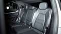 Porsche Cayenne PORSCHE CAYENNE (2) COUPE 3.0 V6 E-HYBRID 519 S Grau - thumbnail 29
