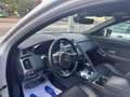 Jaguar E-Pace 2.0d i4 R-Dynamic HSE Awd 180CV Autom. Wit - thumbnail 6