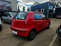 Fiat Punto 1.2*NEUES Pi+SERVICE*KLIMA Rot - thumbnail 6