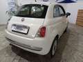 Fiat 500 500 1.2 Lounge 69cv Bianco - thumbnail 9