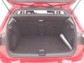 Volkswagen Golf Life 1.0 Benzina 110CV Rosso - thumbnail 14