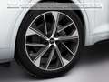 Audi Q5 S line 40 TDI quattro *Matrix*Navi* Weiß - thumbnail 8
