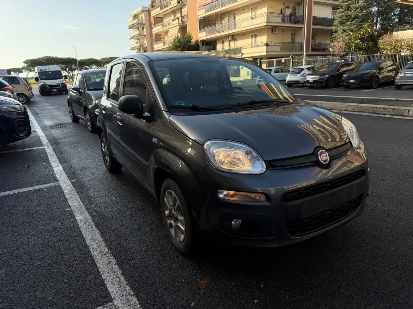Fiat Panda 1.2 EasyPower Lounge Grigio - 2