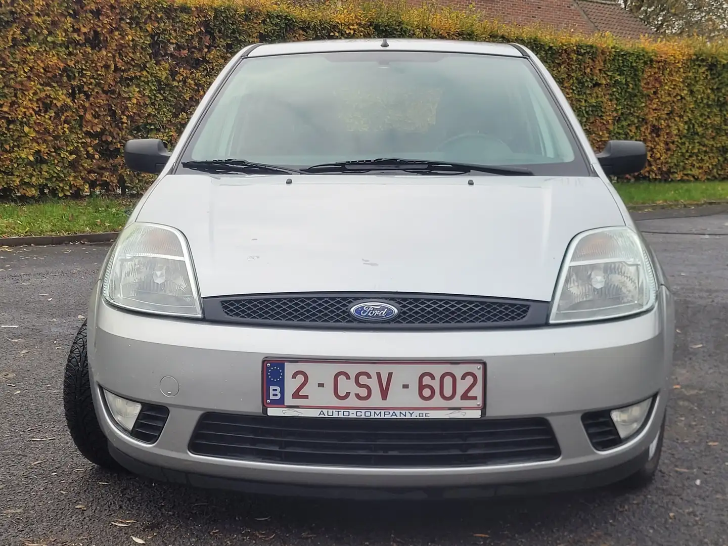 Ford Fiesta 1.3 Blues Argent - 1