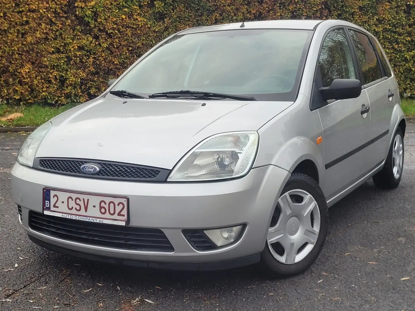 Ford Fiesta 1.3 Blues Argent - 2