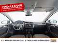 Volkswagen Tiguan 1.5 tsi life 150cv dsg Grey - thumbnail 10
