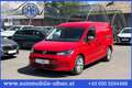 Volkswagen Caddy Caddy Maxi Cargo TDI 4MOTION LED Kamera Sitzhzg Rot - thumbnail 1