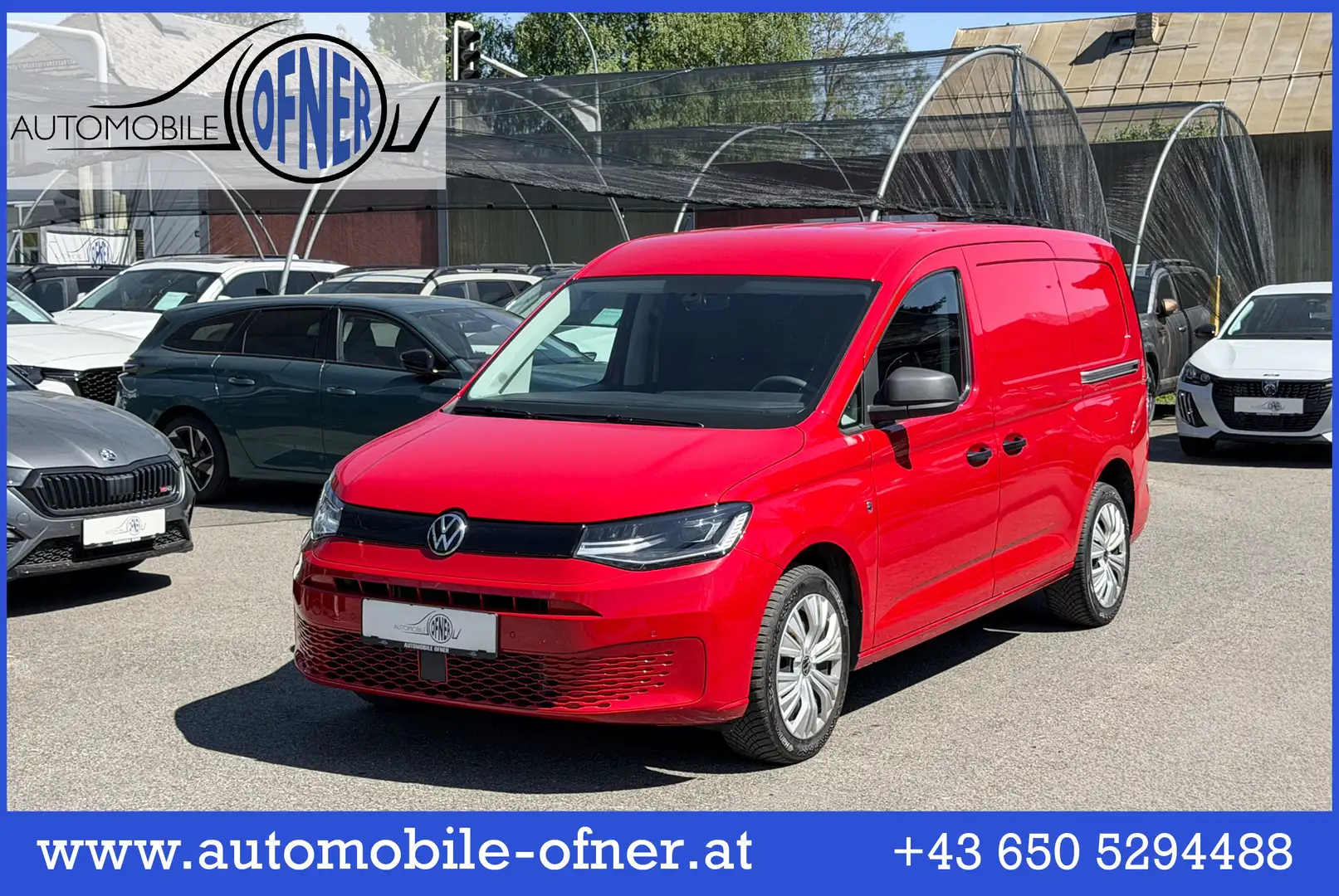 Volkswagen Caddy Caddy Maxi Cargo TDI 4MOTION LED Kamera Sitzhzg Rot - 1