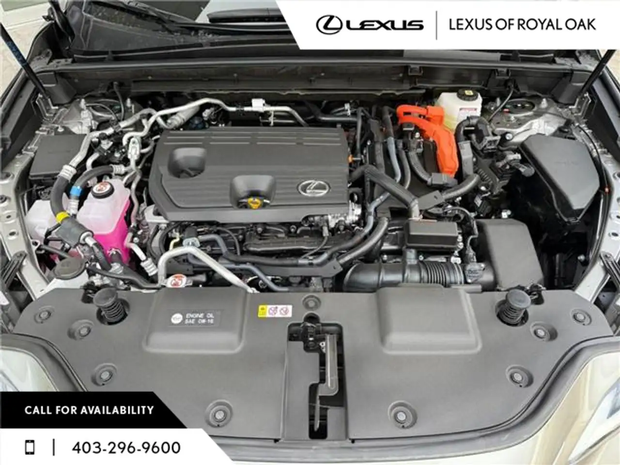 Lexus NX photo Lexus NX