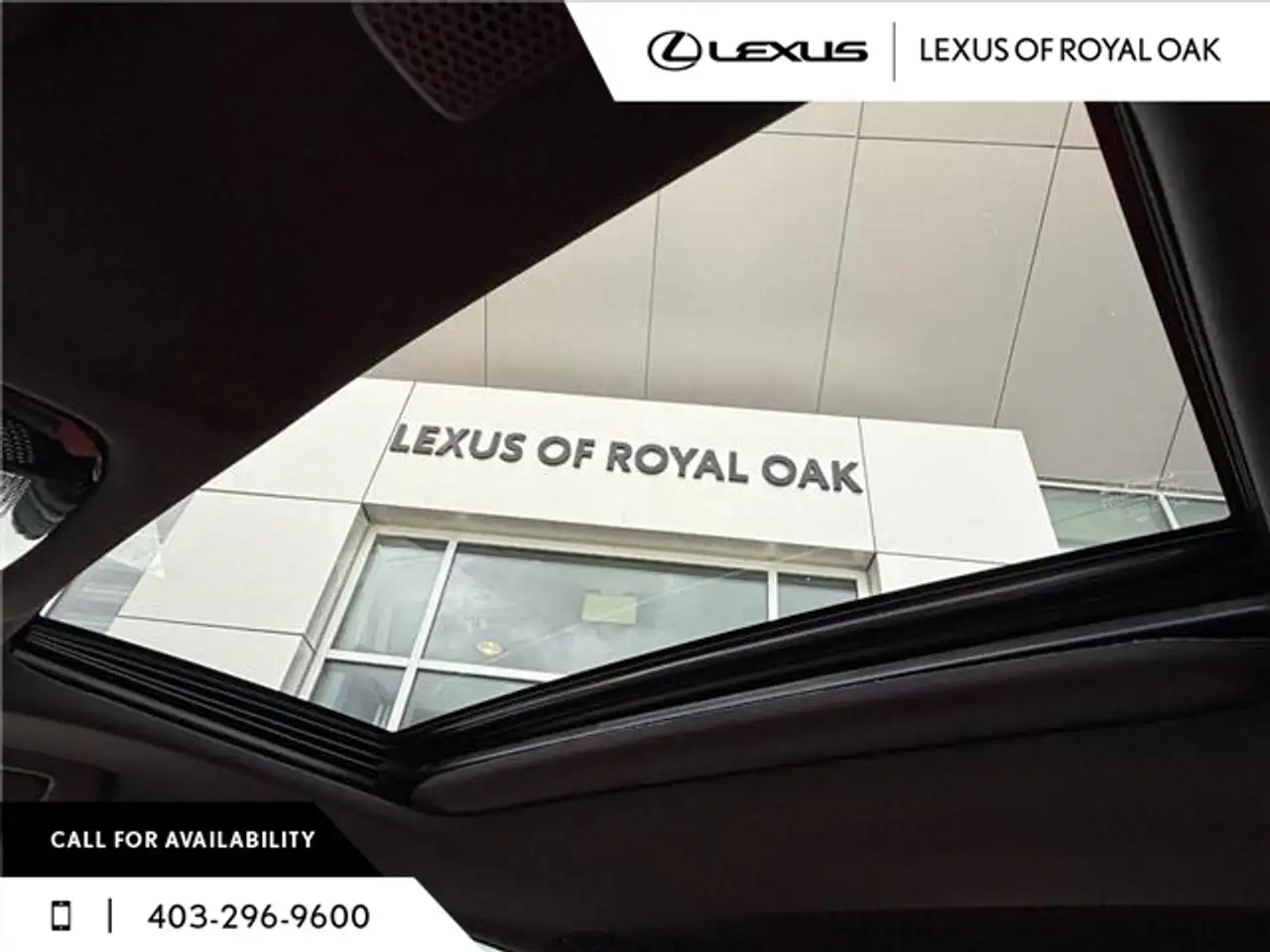 Lexus NX photo Lexus NX