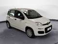 Fiat Panda 1.0 FireFly Hybrid Pop Blanc - thumbnail 3