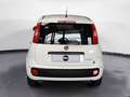 Fiat Panda 1.0 FireFly Hybrid Pop Blanc - thumbnail 2