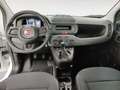 Fiat Panda 1.0 FireFly Hybrid Pop Blanc - thumbnail 10