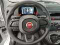 Fiat Panda 1.0 FireFly Hybrid Pop Blanc - thumbnail 15