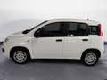 Fiat Panda 1.0 FireFly Hybrid Pop Blanc - thumbnail 7
