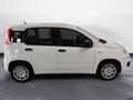 Fiat Panda 1.0 FireFly Hybrid Pop Blanc - thumbnail 8