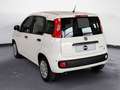 Fiat Panda 1.0 FireFly Hybrid Pop Blanc - thumbnail 5