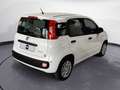 Fiat Panda 1.0 FireFly Hybrid Pop Blanc - thumbnail 6