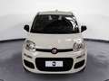 Fiat Panda 1.0 FireFly Hybrid Pop Blanc - thumbnail 4