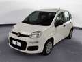 Fiat Panda 1.0 FireFly Hybrid Pop Blanc - thumbnail 1
