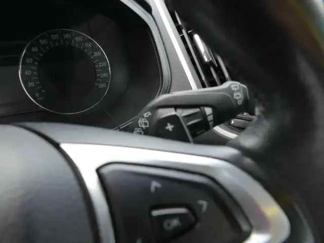 Ford S-Max view 15