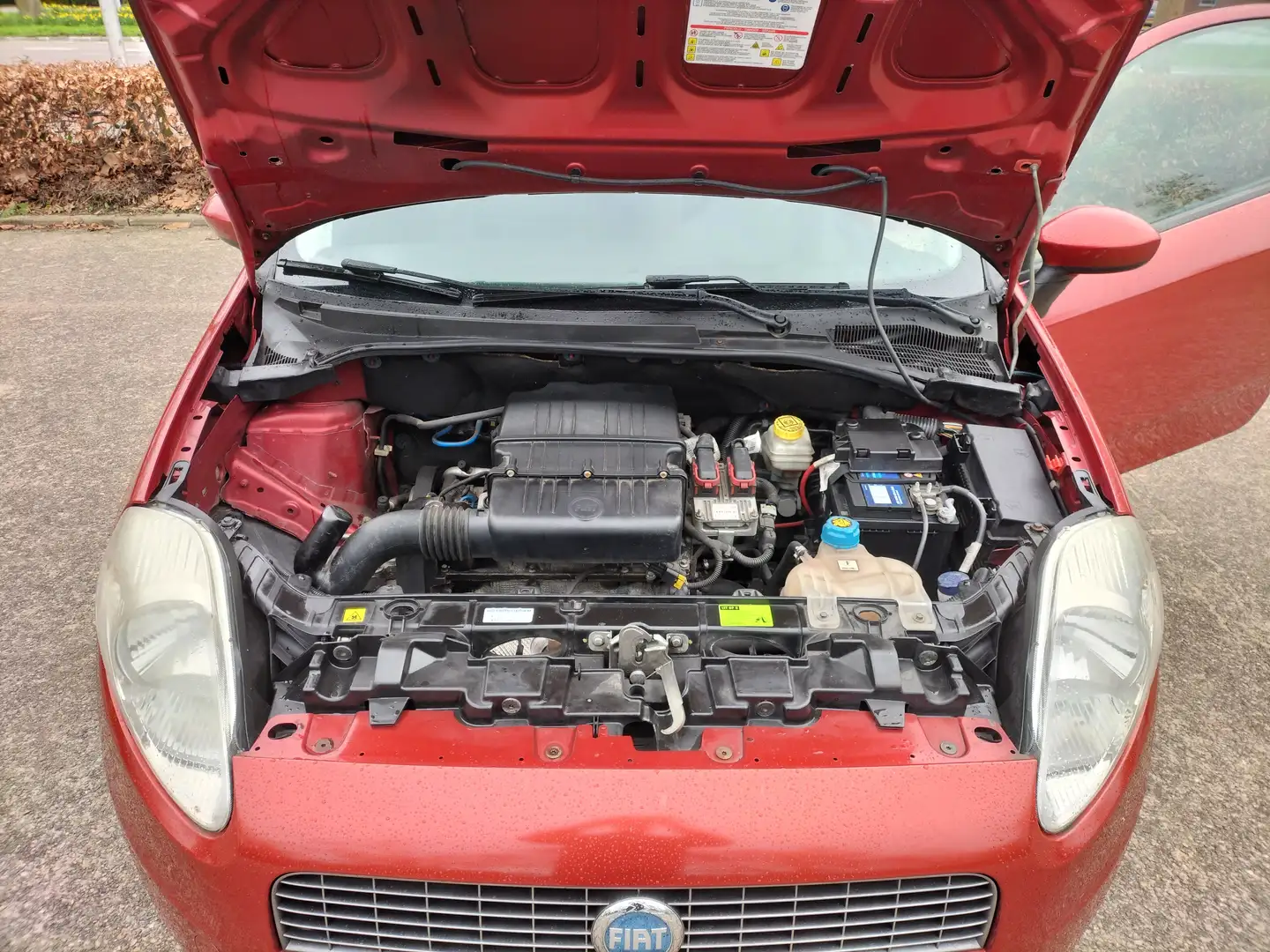 Fiat Grande Punto 1.4 - vernieuwe motor 81.000km Rojo - 2