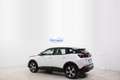 Peugeot 3008 BluHdi 130cv EAT8 BUSINESS *KEYLESS, GRIP CONTROL* Bianco - thumbnail 6