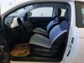 Fiat 500 Hybrid Hatchback Torino Weiß - thumbnail 5