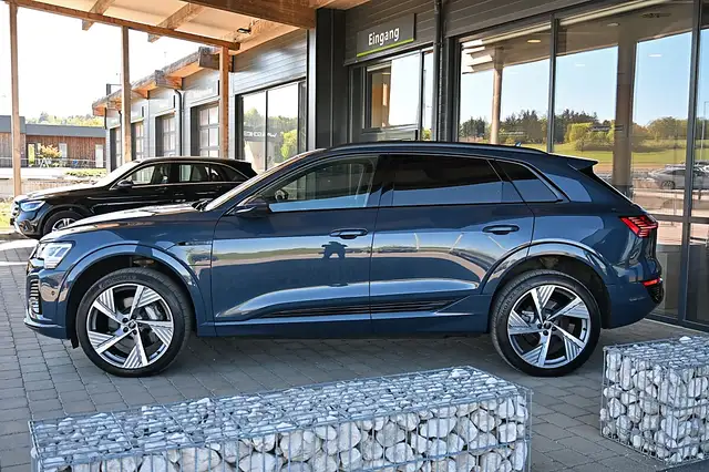 Audi Q8 e-tron Q8 55 e-tron quattro 106kWh S Line ACC, AHK, Ma... Ansicht 38