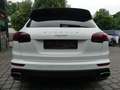 Porsche Cayenne 3.0D SPORTPAKET PANO/NAVI/KAM/ PDLS/AHK White - thumbnail 23