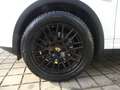 Porsche Cayenne 3.0D SPORTPAKET PANO/NAVI/KAM/ PDLS/AHK Blanco - thumbnail 19