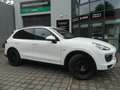 Porsche Cayenne 3.0D SPORTPAKET PANO/NAVI/KAM/ PDLS/AHK White - thumbnail 1
