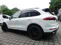 Porsche Cayenne 3.0D SPORTPAKET PANO/NAVI/KAM/ PDLS/AHK White - thumbnail 22