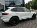 Porsche Cayenne 3.0D SPORTPAKET PANO/NAVI/KAM/ PDLS/AHK White - thumbnail 21