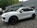 Porsche Cayenne 3.0D SPORTPAKET PANO/NAVI/KAM/ PDLS/AHK Weiß - thumbnail 2