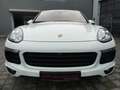 Porsche Cayenne 3.0D SPORTPAKET PANO/NAVI/KAM/ PDLS/AHK White - thumbnail 3