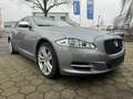 Jaguar XJ Premium Luxury*Kamera*PANO* IM KUNDENAUFTRAG* Gri - thumbnail 1