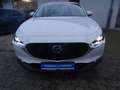 Mazda CX-30 Navi LED Kamera Head Up Blanc - thumbnail 9
