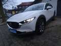Mazda CX-30 Navi LED Kamera Head Up Blanc - thumbnail 8