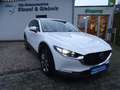 Mazda CX-30 Navi LED Kamera Head Up Blanc - thumbnail 1