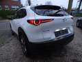 Mazda CX-30 Navi LED Kamera Head Up Blanc - thumbnail 7