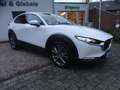 Mazda CX-30 Navi LED Kamera Head Up Blanc - thumbnail 4