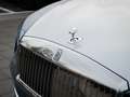 Rolls-Royce Spectre #Provenance Blau - thumbnail 24