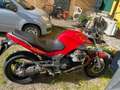 Moto Guzzi Breva 1100 Czerwony - thumbnail 5