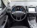 Ford S-Max 2.0 EcoBlue D *NAVI*KAMERA Plateado - thumbnail 8
