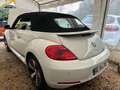 Volkswagen Coccinelle Cabriolet 1.2 TSI 105 Blanc - thumbnail 6