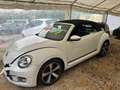 Volkswagen Coccinelle Cabriolet 1.2 TSI 105 Blanc - thumbnail 12