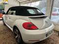Volkswagen Coccinelle Cabriolet 1.2 TSI 105 Blanc - thumbnail 7